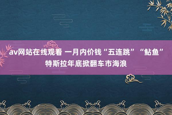 av网站在线观看 一月内价钱“五连跳” “鲇鱼”特斯拉年底掀翻车市海浪