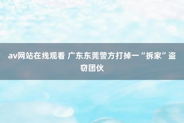 av网站在线观看 广东东莞警方打掉一“拆家”盗窃团伙