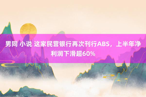 男同 小说 这家民营银行再次刊行ABS，上半年净利润下滑超60%