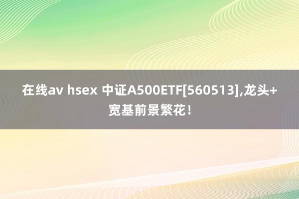 在线av hsex 中证A500ETF[560513]，龙头+宽基前景繁花！