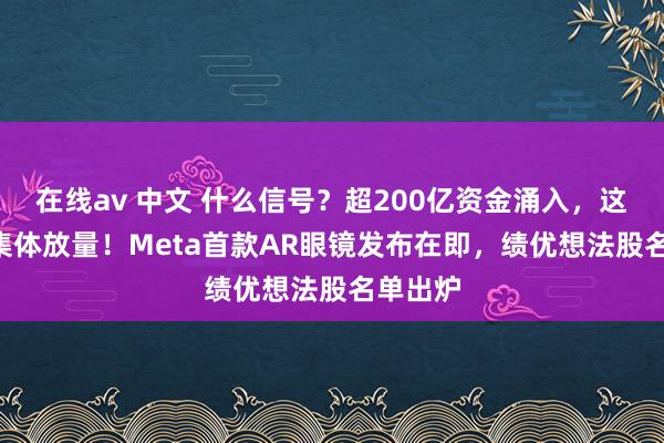 在线av 中文 什么信号？超200亿资金涌入，这些ETF集体放量！Meta首款AR眼镜发布在即，绩优想法股名单出炉