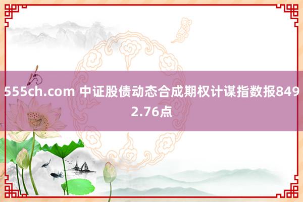 555ch.com 中证股债动态合成期权计谋指数报8492.76点