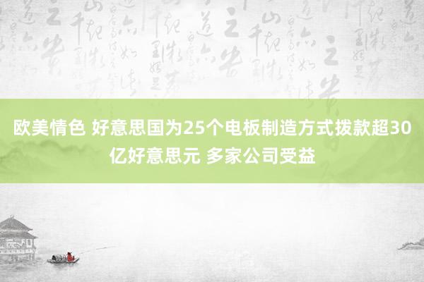 欧美情色 好意思国为25个电板制造方式拨款超30亿好意思元 多家公司受益