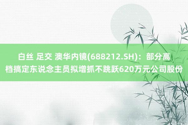 白丝 足交 澳华内镜(688212.SH)：部分高档搞定东说念主员拟增抓不跳跃620万元公司股份