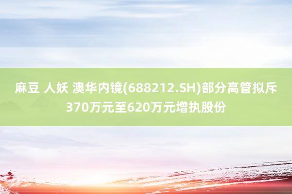 麻豆 人妖 澳华内镜(688212.SH)部分高管拟斥370万元至620万元增执股份