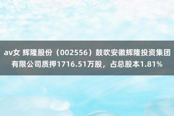 av女 辉隆股份（002556）鼓吹安徽辉隆投资集团有限公司质押1716.51万股，占总股本1.81%