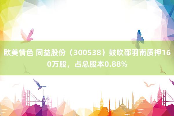 欧美情色 同益股份（300538）鼓吹邵羽南质押160万股，占总股本0.88%