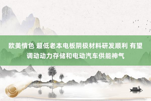 欧美情色 超低老本电板阴极材料研发顺利 有望调动动力存储和电动汽车供能神气