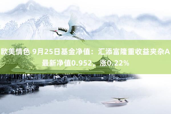 欧美情色 9月25日基金净值：汇添富隆重收益夹杂A最新净值0.952，涨0.22%