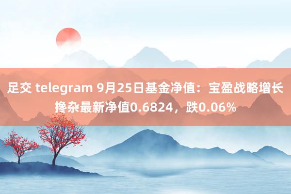 足交 telegram 9月25日基金净值：宝盈战略增长搀杂最新净值0.6824，跌0.06%