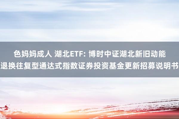 色妈妈成人 湖北ETF: 博时中证湖北新旧动能退换往复型通达式指数证券投资基金更新招募说明书