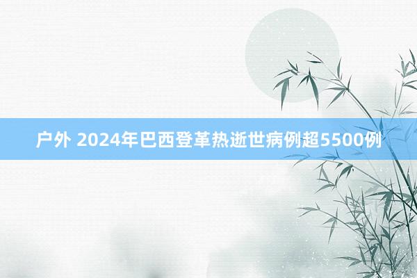 户外 2024年巴西登革热逝世病例超5500例