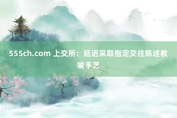 555ch.com 上交所：延迟采取指定交往陈述教唆手艺