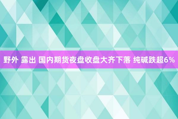 野外 露出 国内期货夜盘收盘大齐下落 纯碱跌超6%