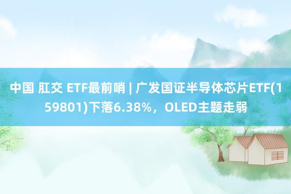 中国 肛交 ETF最前哨 | 广发国证半导体芯片ETF(159801)下落6.38%，OLED主题走弱