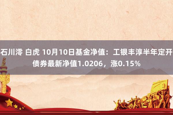 石川澪 白虎 10月10日基金净值：工银丰淳半年定开债券最新净值1.0206，涨0.15%