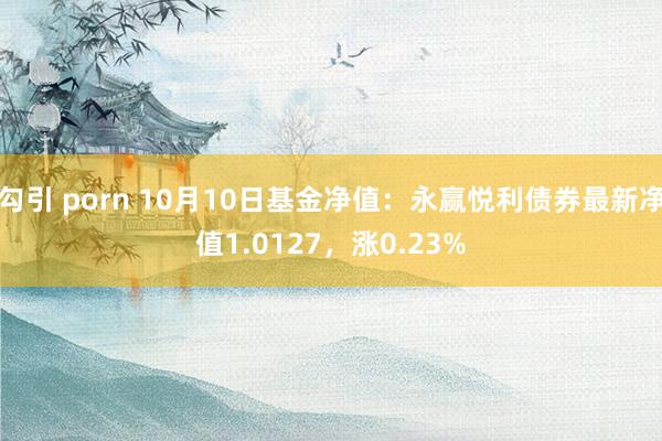 勾引 porn 10月10日基金净值：永赢悦利债券最新净值1.0127，涨0.23%