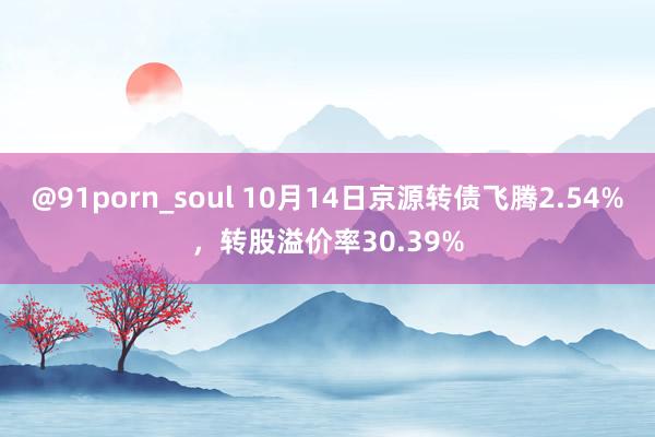 @91porn_soul 10月14日京源转债飞腾2.54%，转股溢价率30.39%