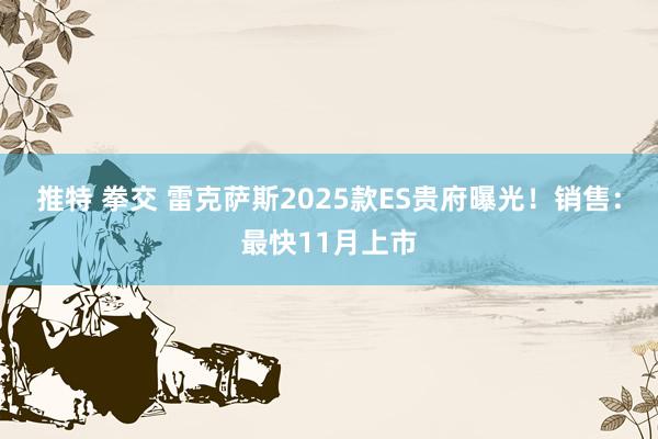 推特 拳交 雷克萨斯2025款ES贵府曝光！销售：最快11月上市