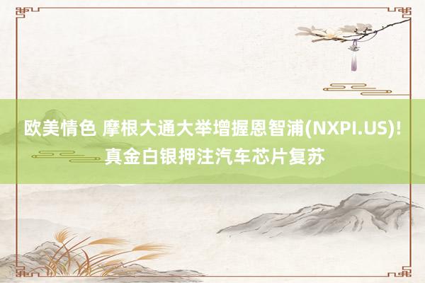 欧美情色 摩根大通大举增握恩智浦(NXPI.US)! 真金白银押注汽车芯片复苏