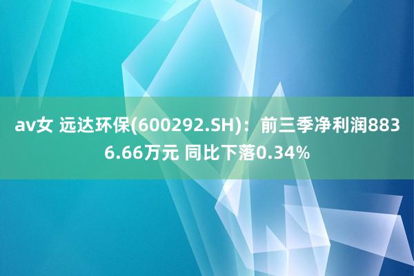 av女 远达环保(600292.SH)：前三季净利润8836.66万元 同比下落0.34%