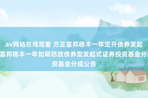 av网站在线观看 方正富邦稳丰一年定开债券发起: 方正富邦稳丰一年如期怒放债券型发起式证券投资基金分成公告