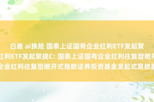 白鹿 ai换脸 国泰上证国有企业红利ETF发起聚拢A，国泰上证国有企业红利ETF发起聚拢C: 国泰上证国有企业红利往复型敞开式指数证券投资基金发起式聚拢基金分成公告