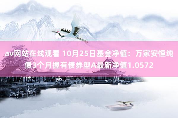 av网站在线观看 10月25日基金净值：万家安恒纯债3个月握有债券型A最新净值1.0572