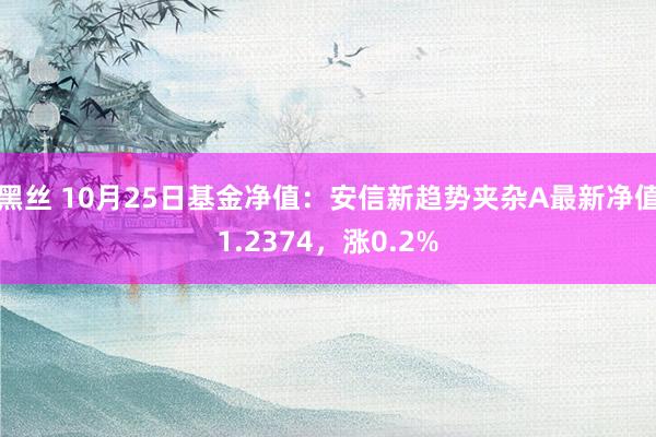 黑丝 10月25日基金净值：安信新趋势夹杂A最新净值1.2374，涨0.2%