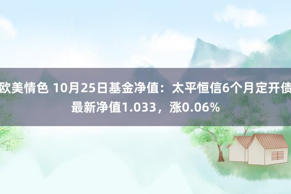 欧美情色 10月25日基金净值：太平恒信6个月定开债最新净值1.033，涨0.06%