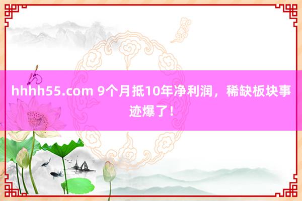 hhhh55.com 9个月抵10年净利润，稀缺板块事迹爆了！