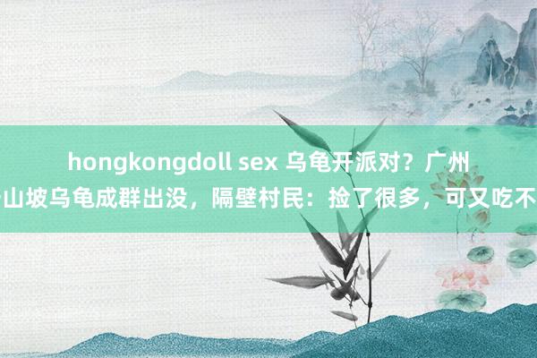 hongkongdoll sex 乌龟开派对？广州一山坡乌龟成群出没，隔壁村民：捡了很多，可又吃不得