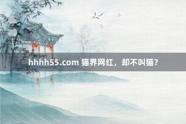 hhhh55.com 猫界网红，却不叫猫？