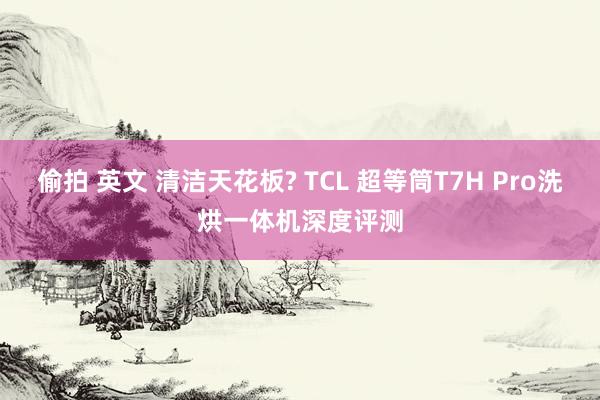 偷拍 英文 清洁天花板? TCL 超等筒T7H Pro洗烘一体机深度评测