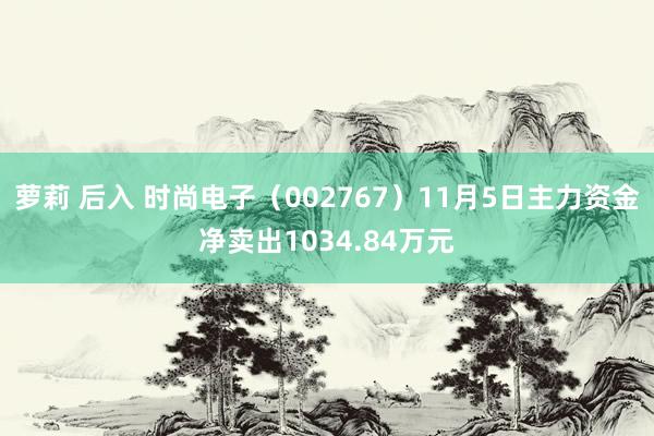 萝莉 后入 时尚电子（002767）11月5日主力资金净卖出1034.84万元