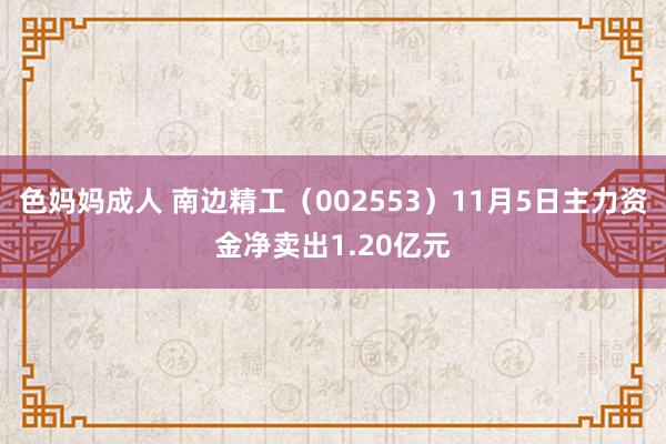 色妈妈成人 南边精工（002553）11月5日主力资金净卖出1.20亿元