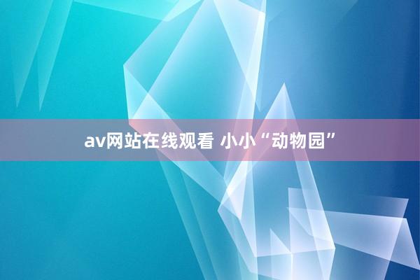 av网站在线观看 小小“动物园”