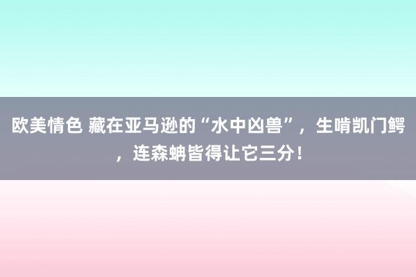 欧美情色 藏在亚马逊的“水中凶兽”，生啃凯门鳄，连森蚺皆得让它三分！