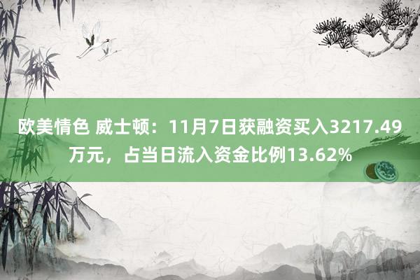 欧美情色 威士顿：11月7日获融资买入3217.49万元，占当日流入资金比例13.62%