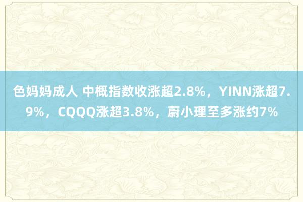 色妈妈成人 中概指数收涨超2.8%，YINN涨超7.9%，CQQQ涨超3.8%，蔚小理至多涨约7%