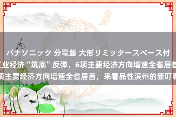 パナソニック 分電盤 大形リミッタースペース付 露出・半埋込両用形 工业经济“筑底”反弹，6项主要经济方向增速全省居首，来看品性滨州的新叮嘱