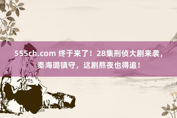 555ch.com 终于来了！28集刑侦大剧来袭，秦海璐镇守，这剧熬夜也得追！