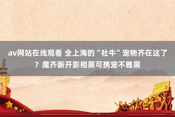 av网站在线观看 全上海的“社牛”宠物齐在这了？魔齐新开影相展可携宠不雅展