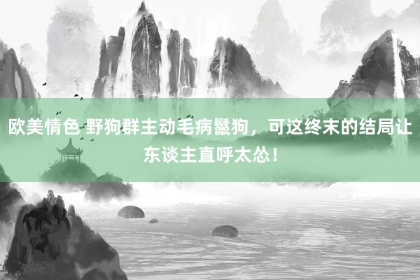 欧美情色 野狗群主动毛病鬣狗，可这终末的结局让东谈主直呼太怂！