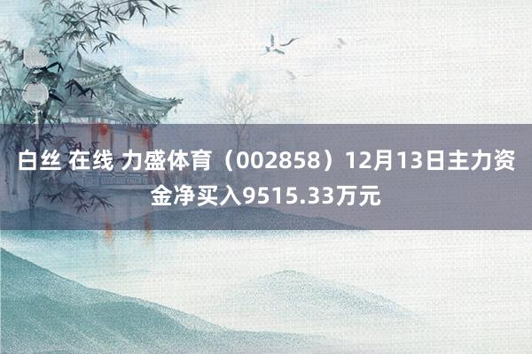 白丝 在线 力盛体育（002858）12月13日主力资金净买入9515.33万元