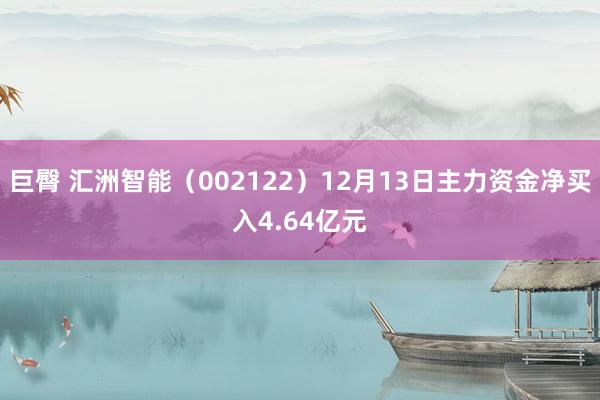 巨臀 汇洲智能（002122）12月13日主力资金净买入4.64亿元