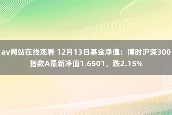 av网站在线观看 12月13日基金净值：博时沪深300指数A最新净值1.6501，跌2.15%