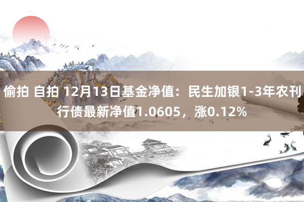 偷拍 自拍 12月13日基金净值：民生加银1-3年农刊行债最新净值1.0605，涨0.12%