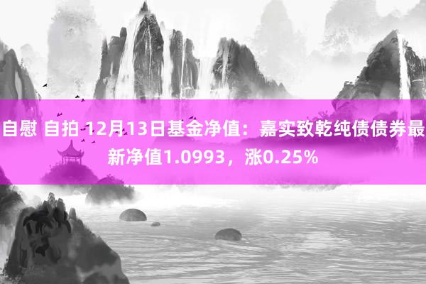 自慰 自拍 12月13日基金净值：嘉实致乾纯债债券最新净值1.0993，涨0.25%