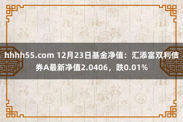 hhhh55.com 12月23日基金净值：汇添富双利债券A最新净值2.0406，跌0.01%